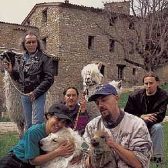 1996-des-loups-dans-la-bergerie--stock