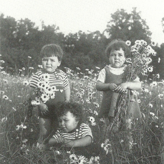 juin-1937--les-paquerettes